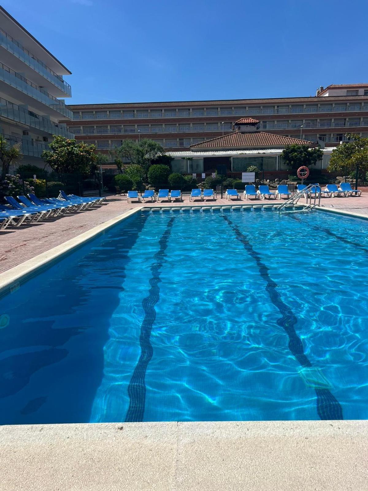 Apcostas Els Pins Lotus Apartment